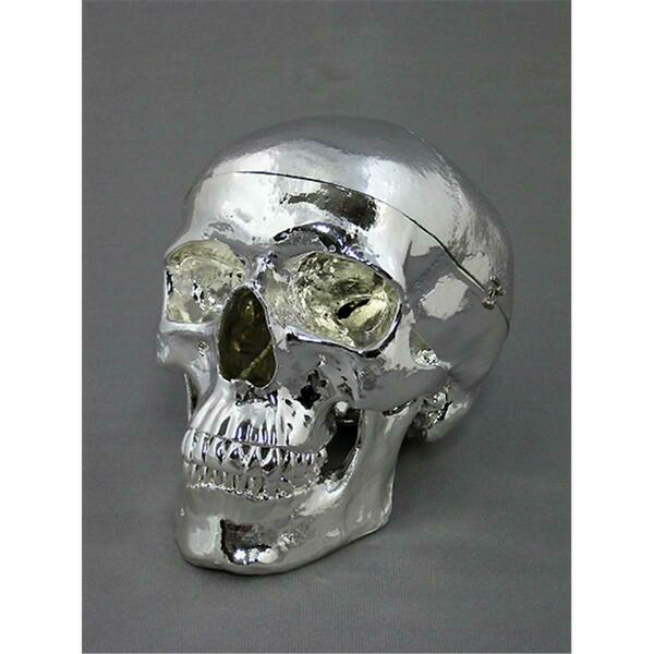 Skeletons And More Chromed Skull SM200CHR